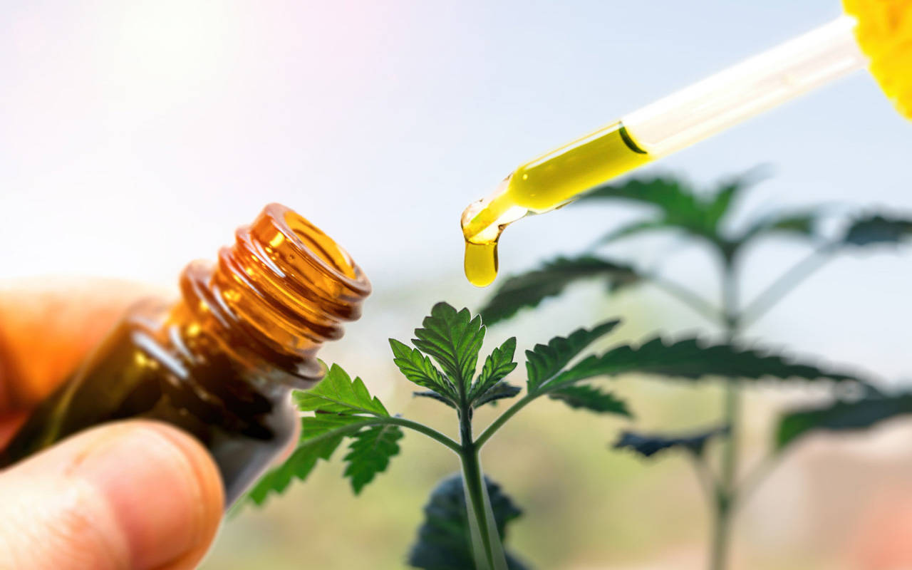  best cbd oil